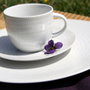 Avet Taza Té Con Plato Rice 280 Ml (6 Unidades)
